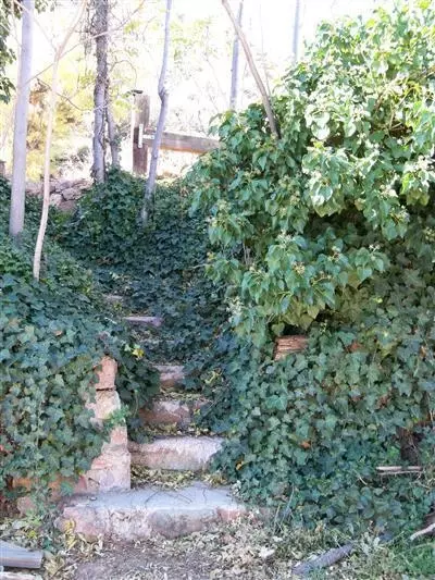 29 Magnolia Ave, Jerome, AZ 86331 photo 1