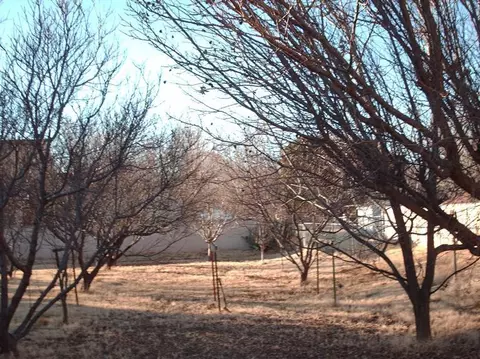 336 E Silver Bugle Dr, Camp Verde, AZ 86322 photo 9