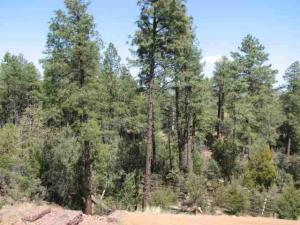 2028 E Thunder Mountain Rd, Payson, AZ 85541 photo 9