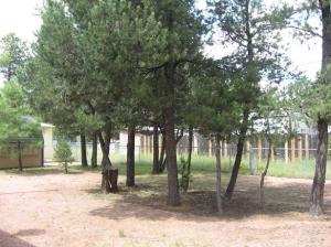 2122 Bluejay --, Overgaard, AZ 85933 photo 8