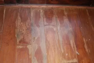 3204 W Cloud Rd, Phoenix, AZ 85086 photo 7