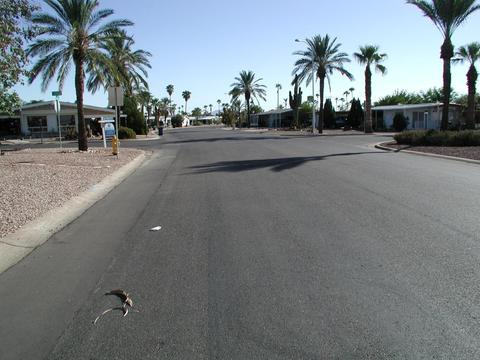 5806 E Aspen Ave, Mesa, AZ 85206 photo 5