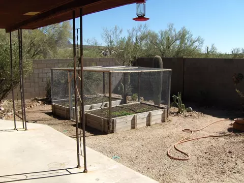 5855 E Pioneer St, Apache Junction, AZ 85119 photo 9
