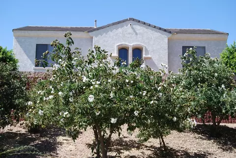 10457 E Jacob Ave, Mesa, AZ 85209 photo 10