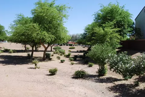 10457 E Jacob Ave, Mesa, AZ 85209 photo 3