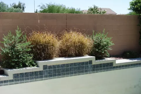 10457 E Jacob Ave, Mesa, AZ 85209 photo 7