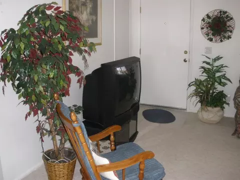 1366 S Palo Verde Dr, Apache Junction, AZ 85120 photo 15