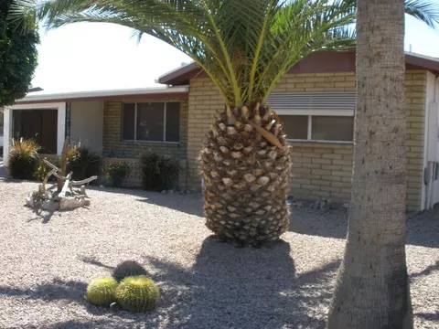 1366 S Palo Verde Dr, Apache Junction, AZ 85120 photo 2