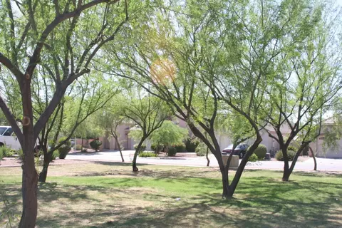 4106 E Rustler Way, Gilbert, AZ 85297 photo 42