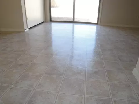 108 E Milada Dr, Phoenix, AZ 85042 photo 10
