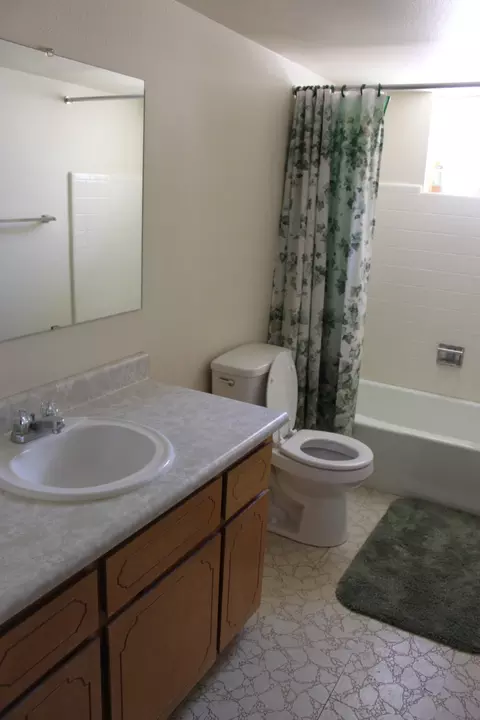1160 S Lawther Dr, Apache Junction, AZ 85120 photo 11