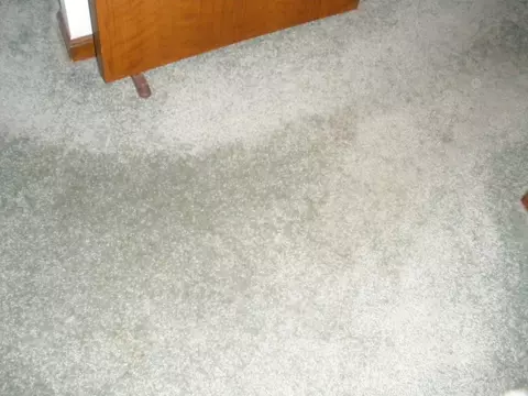 6355 E Regina St, Mesa, AZ 85215 photo 6