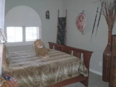 1663 N Acacia --, Mesa, AZ 85213 photo 33