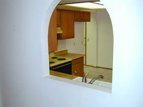 449 S Olmo Cir, Apache Junction, AZ 85120 photo 4