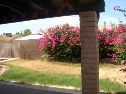 2238 E Harmony Ave, Mesa, AZ 85204 photo 14