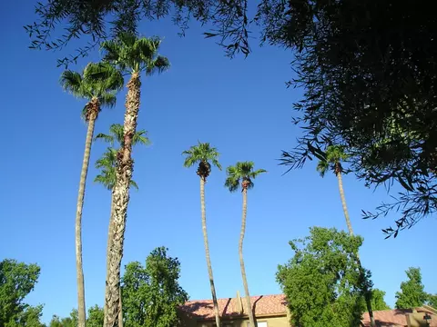 3511 E Baseline Rd #1221, Phoenix, AZ 85042 photo 10