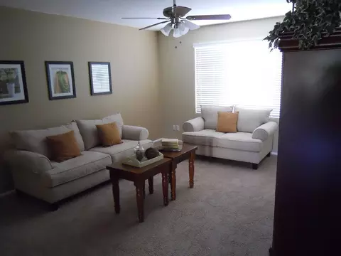3907 E Paradise Dr, Phoenix, AZ 85028 photo 7