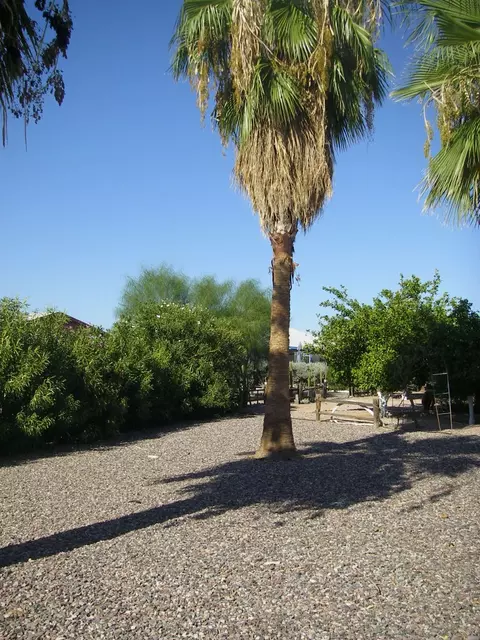 8030 E Flossmoor Ave, Mesa, AZ 85208 photo 16