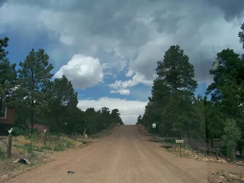 3487 N Quail Run Dr, Overgaard, AZ 85933 photo 4