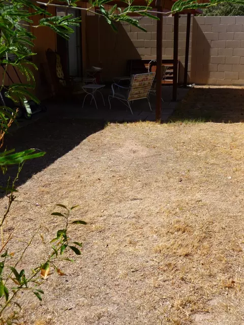 1838 E Grandview Rd, Phoenix, AZ 85022 photo 14
