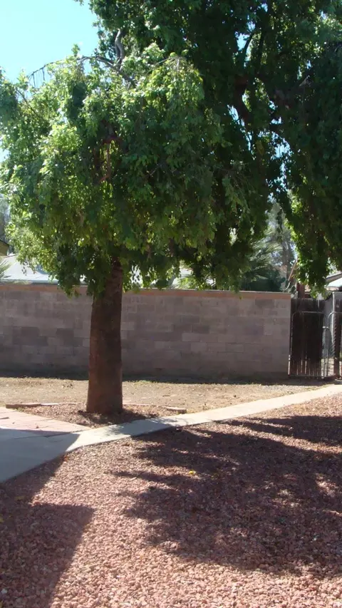 2331 E Aldine St, Phoenix, AZ 85022 photo 20