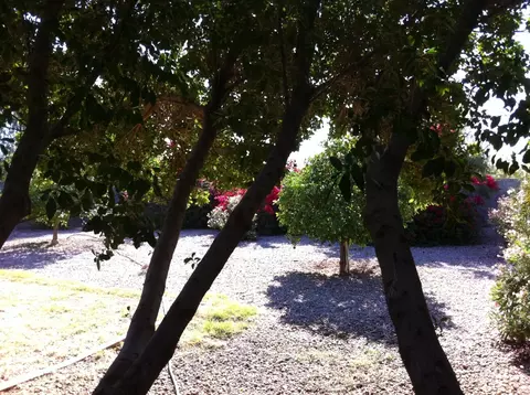 7935 E Caballero St, Mesa, AZ 85207 photo 4