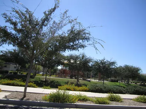 4299 E Jasper Dr, Gilbert, AZ 85296 photo 3