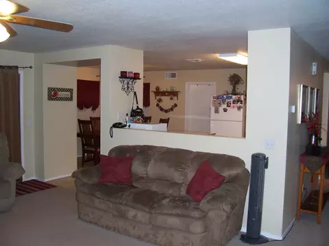 11411 E Quicksilver Ave, Mesa, AZ 85212 photo 10