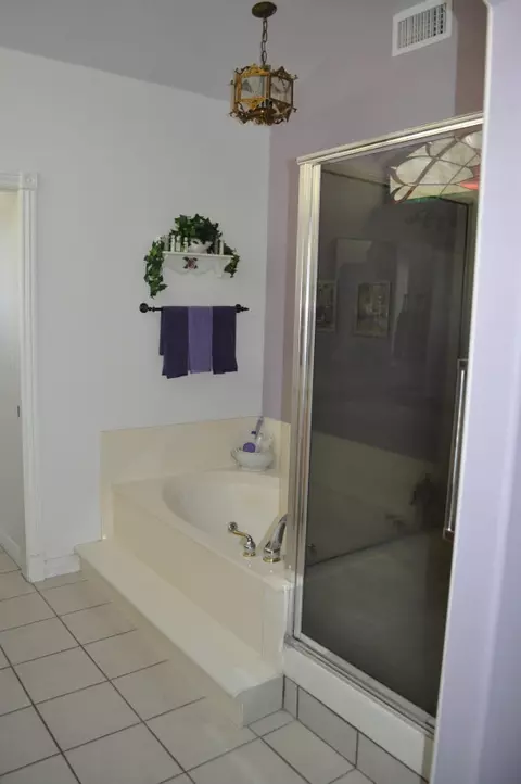 430 N Val Vista Rd, Apache Junction, AZ 85119 photo 27