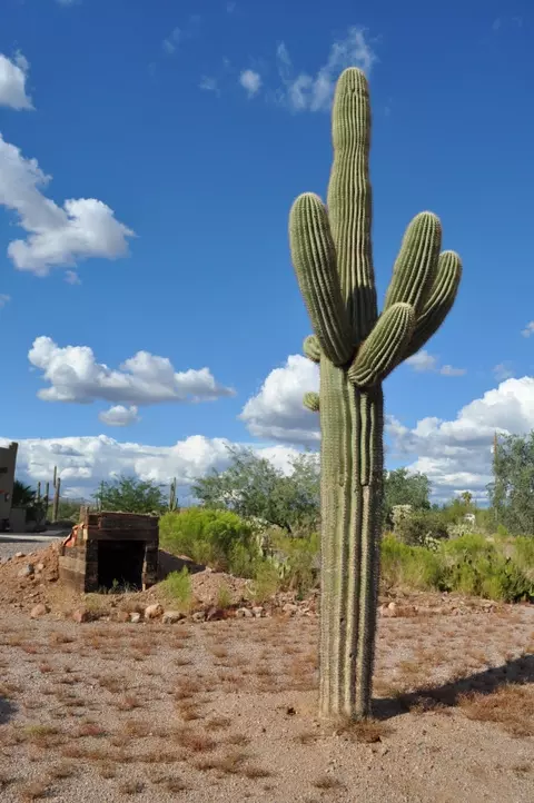 430 N Val Vista Rd, Apache Junction, AZ 85119 photo 38