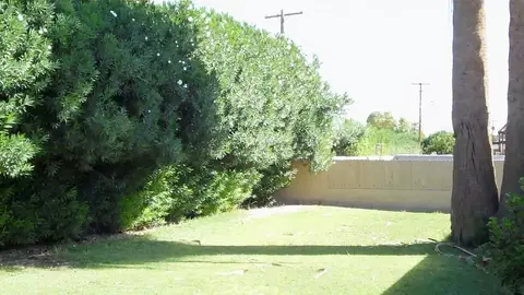 714 Edison Ave, Buckeye, AZ 85326 photo 25