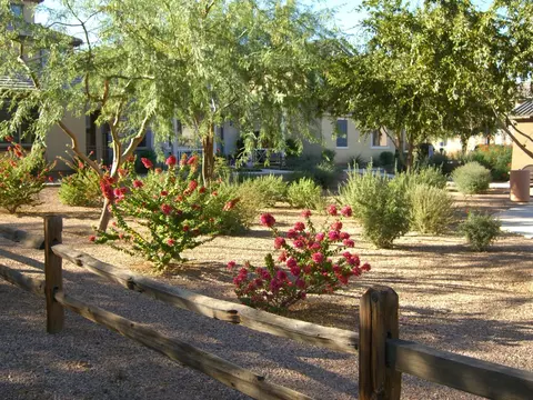 1706 Elgin St, Gilbert, AZ 85295 photo 23