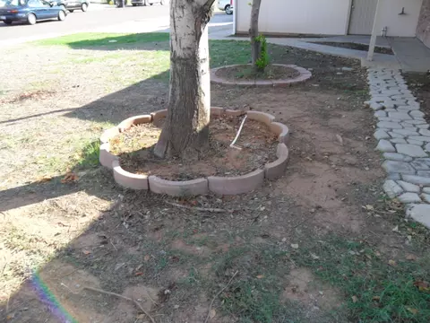 2443 E Inverness Ave, Mesa, AZ 85204 photo 24