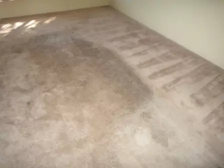 902 E Grandview St, Mesa, AZ 85203 photo 3