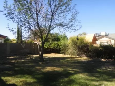 902 E Grandview St, Mesa, AZ 85203 photo 12