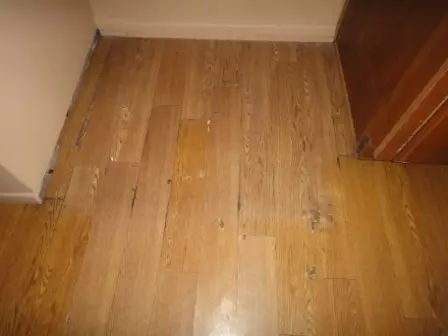902 E Grandview St, Mesa, AZ 85203 photo 6
