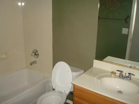 8251 E Portobello Ave, Mesa, AZ 85212 photo 10