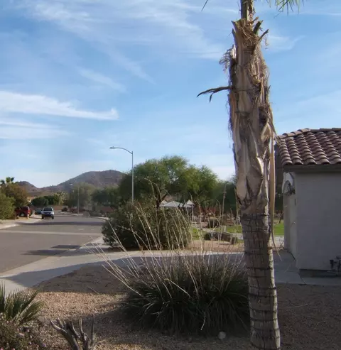 715 E Potter Dr, Phoenix, AZ 85024 photo 11