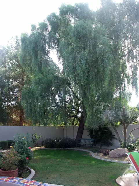 233 E Mclellan Blvd, Phoenix, AZ 85012 photo 17