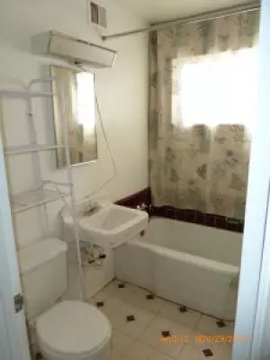 311 E Orchid Ln, Phoenix, AZ 85020 photo 4