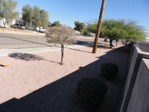 9652 Escondido Ave, Mesa, AZ 85208 photo 6