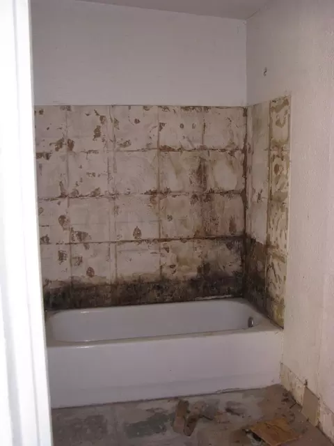 2022 E Harvard St, Phoenix, AZ 85006 photo 25