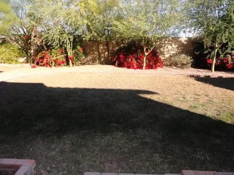 346 E Ivy St, Mesa, AZ 85201 photo 1
