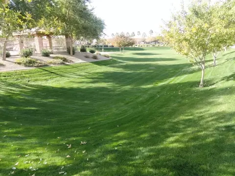 4370 E Jasper Dr, Gilbert, AZ 85296 photo 7