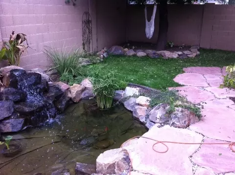 3314 E Taro Ln, Phoenix, AZ 85050 photo 17
