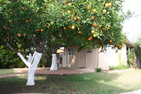 332 W Echo Ln, Phoenix, AZ 85021 photo 22
