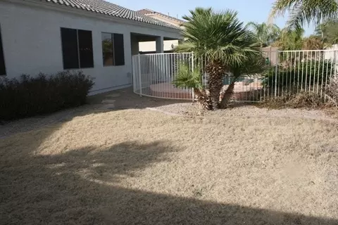 1453 N Steele --, Mesa, AZ 85207 photo 39