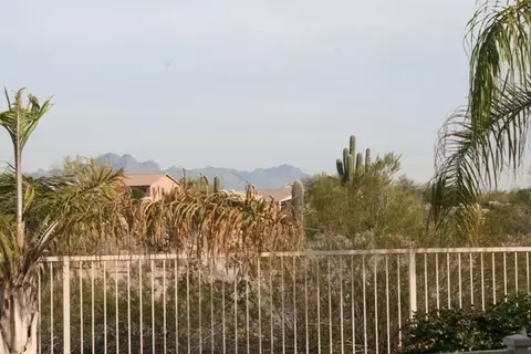 1453 N Steele --, Mesa, AZ 85207 photo 40
