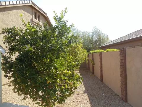 9648 E Grandview St, Mesa, AZ 85207 photo 21