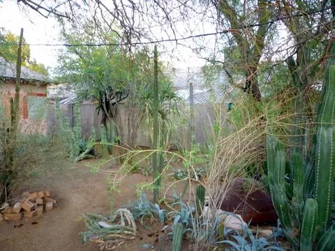 1007 E Mariposa St, Phoenix, AZ 85014 photo 2